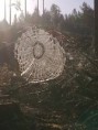 /album/ovrigt/cilla-bilder-085-jpg/